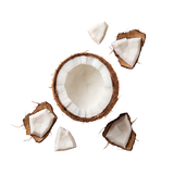 Coconut Extract