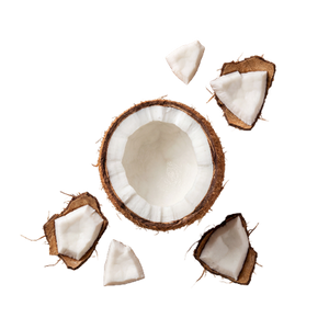 Coconut Extract