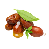 Jojoba Oil